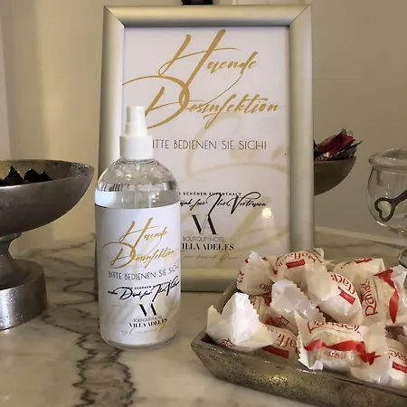 호텔 Adelees Boutique 알스펠트